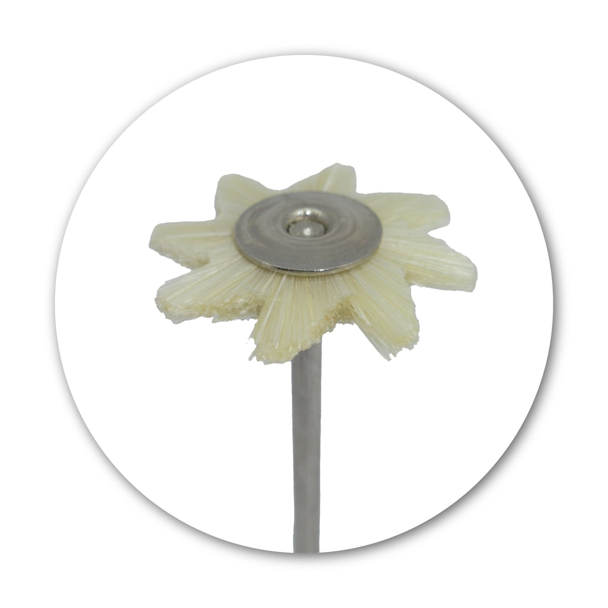 Mounted Bristle Hair Brush - White