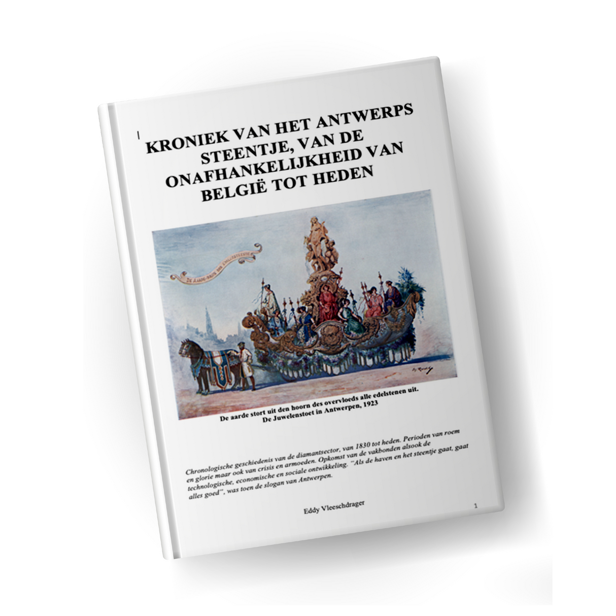 Kroniek Van Het Antwerps Steentje - Eddy Vleeschdrager