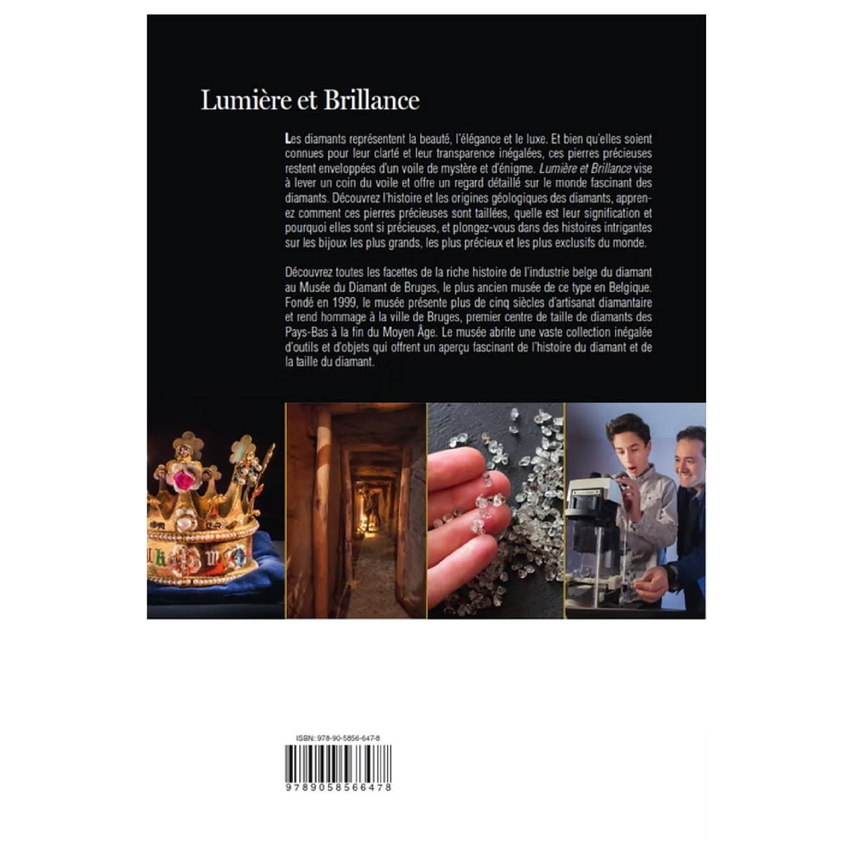 Light & Brilliance - Diamond Museum Bruges - English, Dutch & French