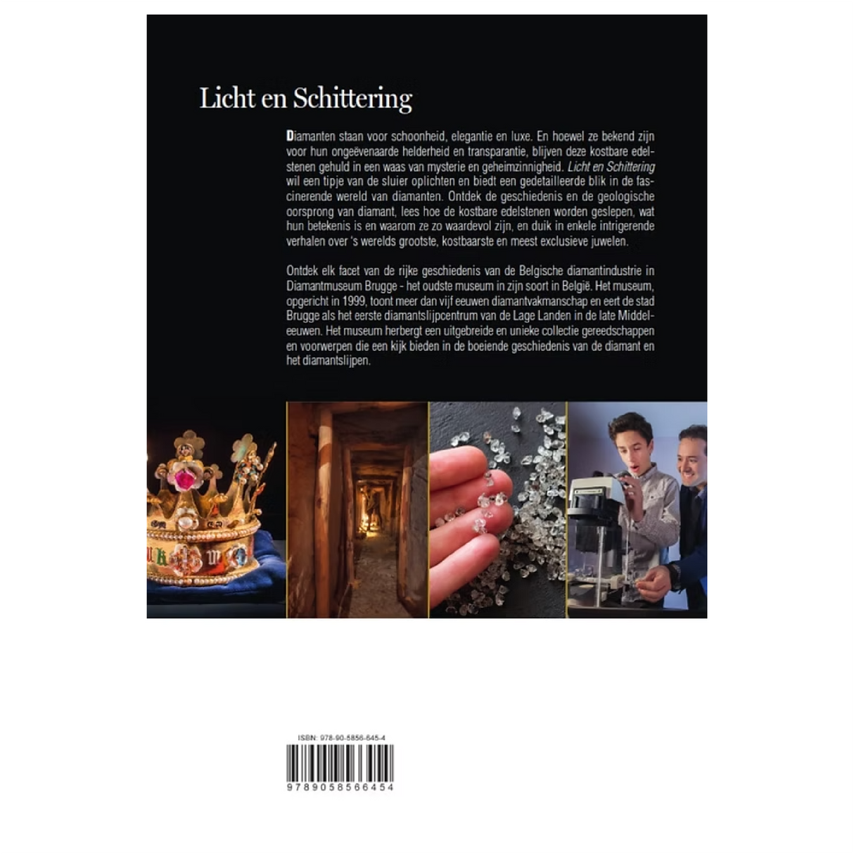 Light & Brilliance - Diamond Museum Bruges - English, Dutch & French