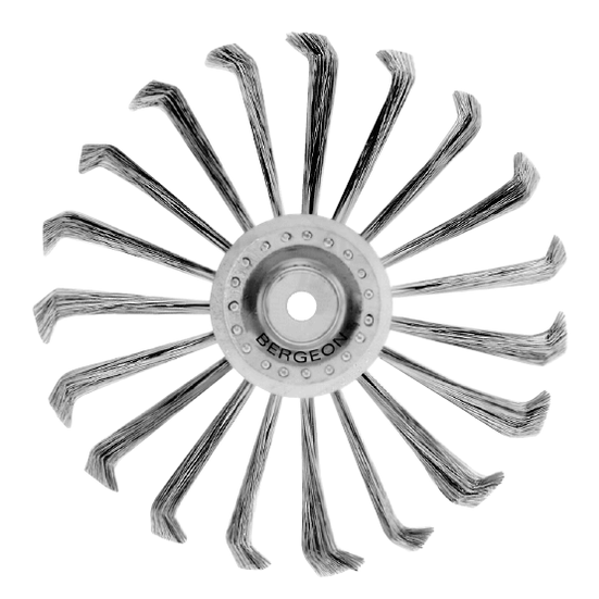 Bergeon - Steel Wire Scratch Brush