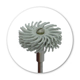 White 120 grit radial bristle disc for light oxide removal and pre-polishing